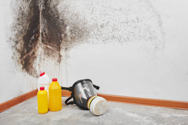 Best Crawl Space Mold Removal  in Milton, FL