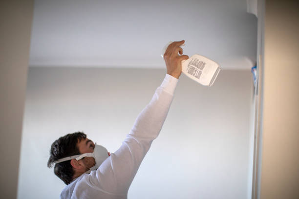 Best Mold Remediation  in Milton, FL