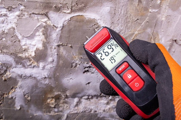 Best Local Mold Removal Service  in Milton, FL