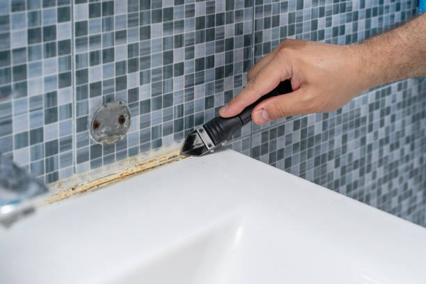 Best Mold Remediation Experts  in Milton, FL
