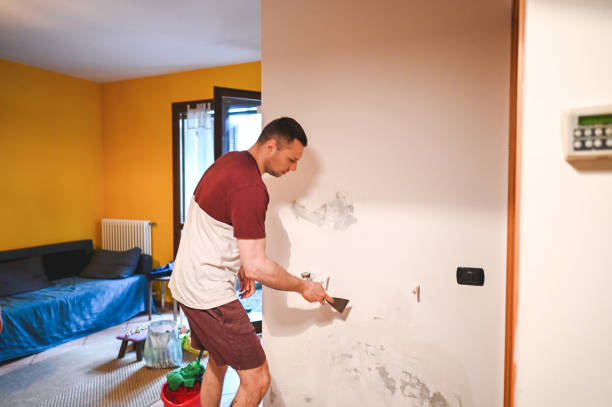 Best Fast Mold Removal  in Milton, FL