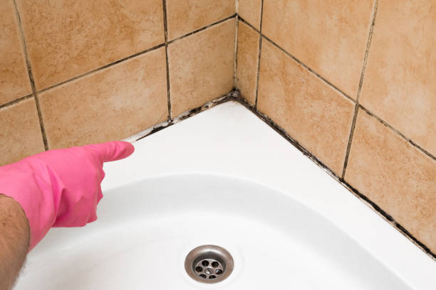 Best Mold Testing  in Milton, FL